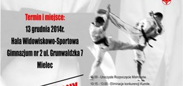 Mistrzostwa Polski Południowej w Karate FULL-CONTACT
