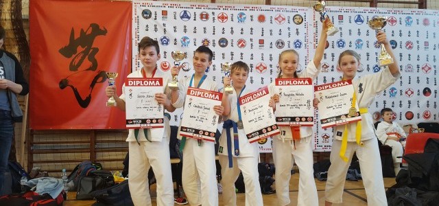 Dwa I, daw II i jedno III miejsce w Pełno Kontaktowym Turnieju Karate w Rudniku.